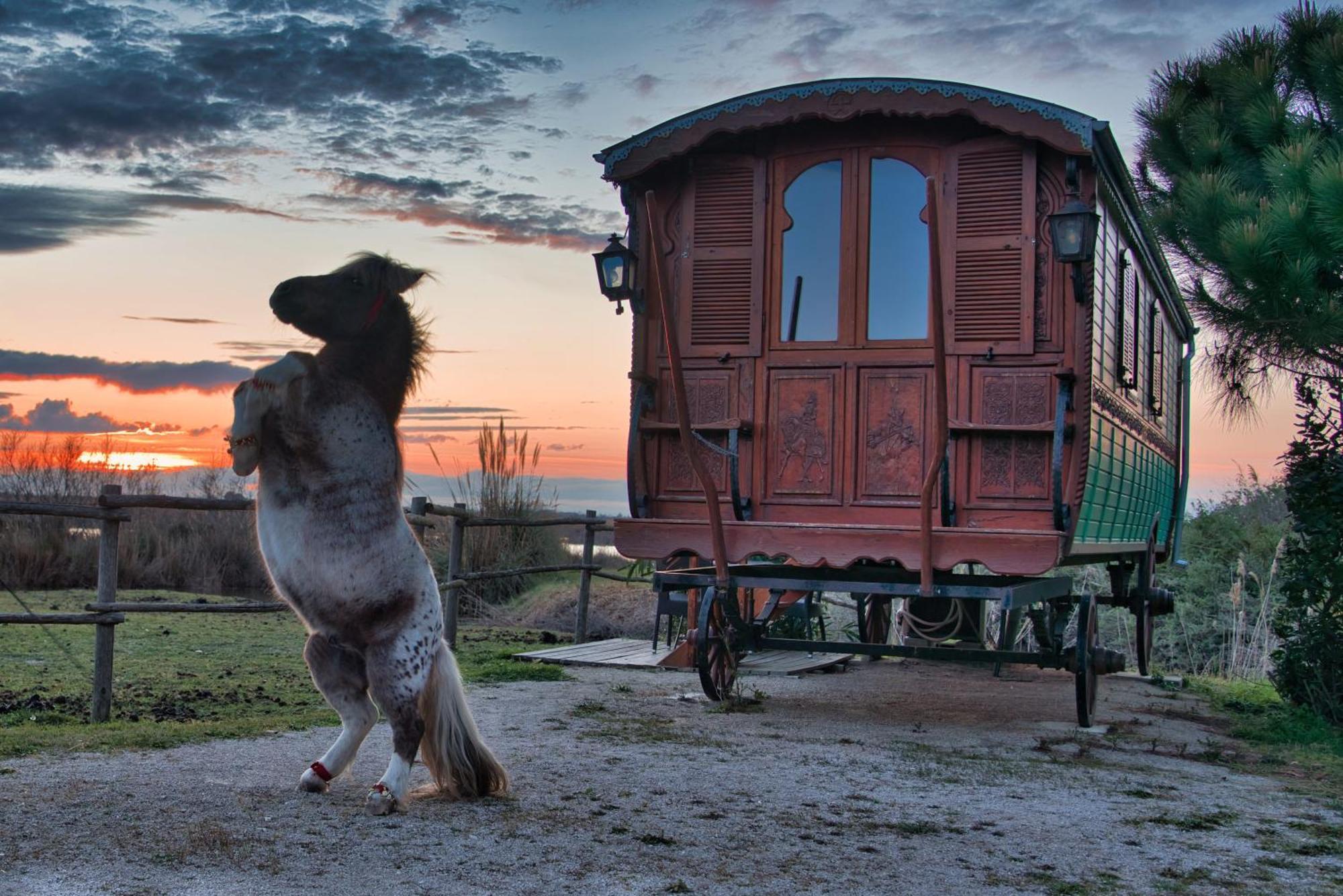 Отель Mas De Calabrun Сент-Мари-де-ла-Мер Экстерьер фото